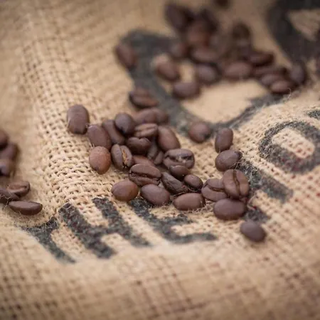 Rynek - Olawska - 50 Metrow Do Rynku - Old Market Square Appartement Wrocław