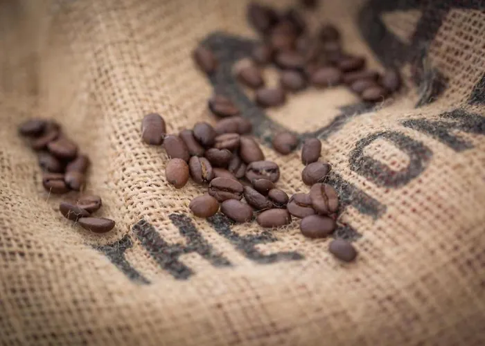 Rynek - Olawska - 50 Metrow Do Rynku - Old Market Square Appartement Wrocław